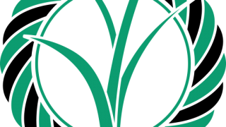favicon-320x180.png